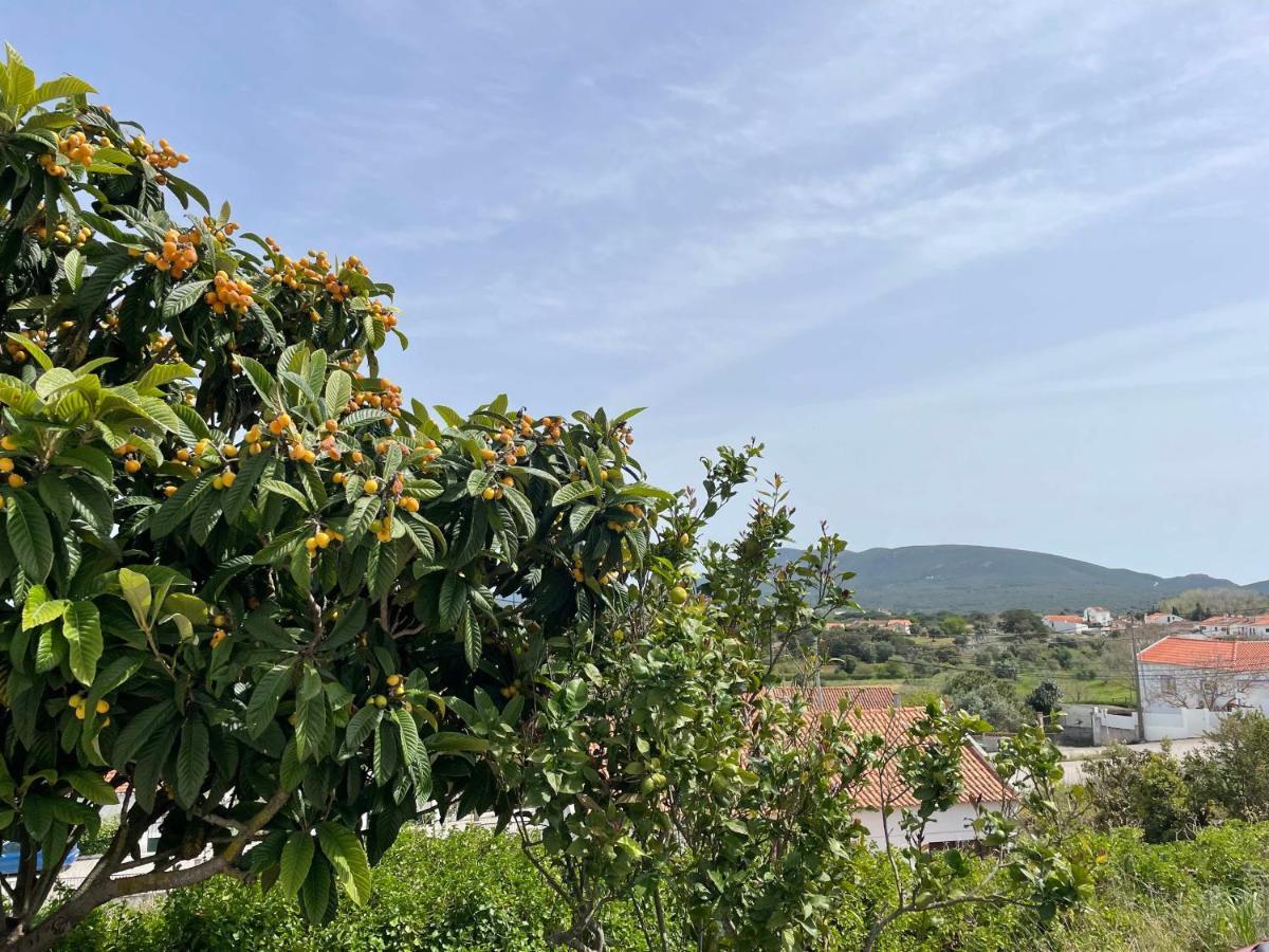 Pedreiras de BaixoCasa Lino别墅 外观 照片