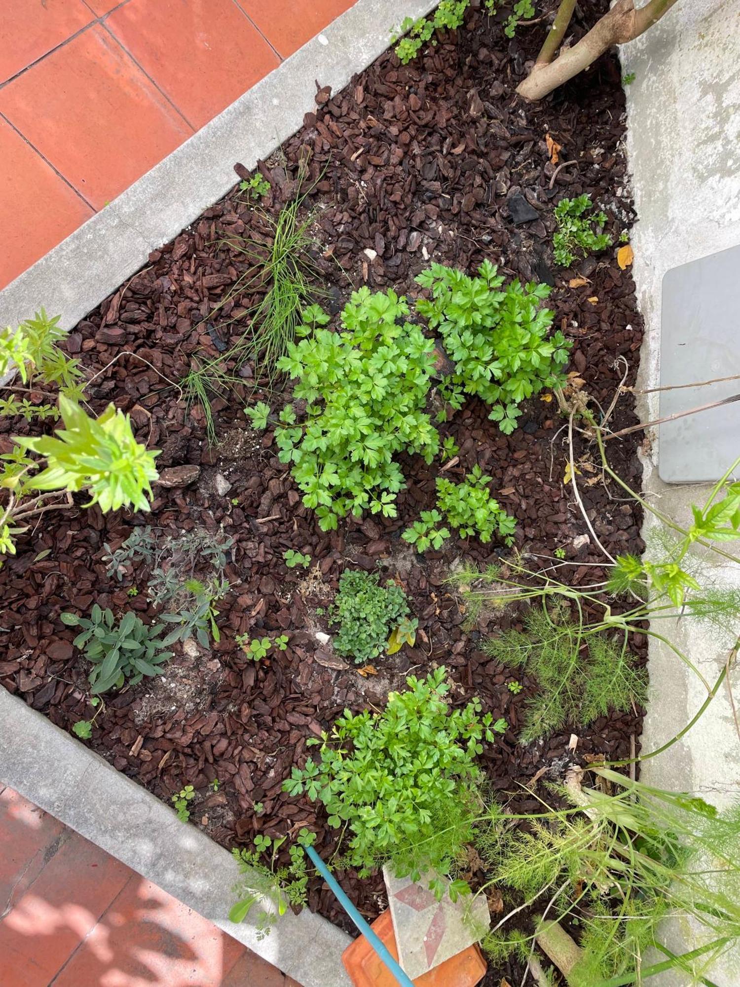 Pedreiras de BaixoCasa Lino别墅 外观 照片